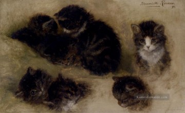  Henri Malerei - Studien der Kätzchen Tier Katze Henriette Ronner Knip